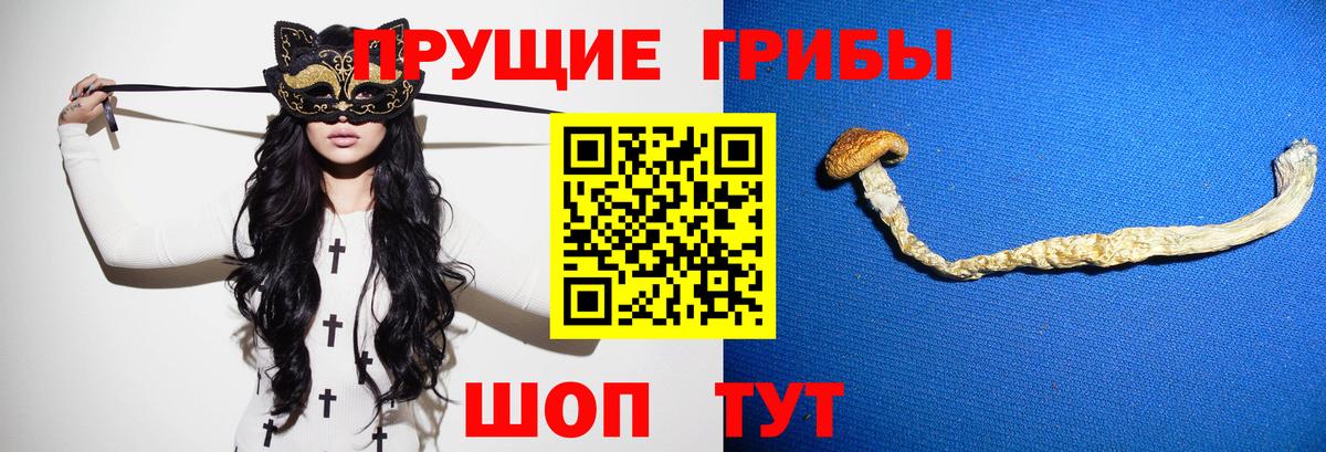 Псилоцибиновые грибы Cubensis Сыктывкар
